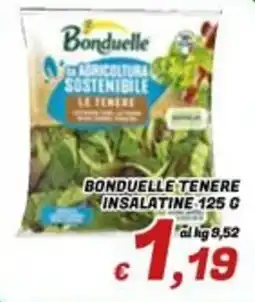 Idromarket Bonduelle tenere insalatine offerta