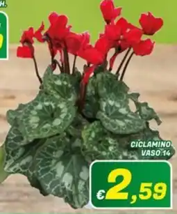 Idromarket Ciclamino offerta