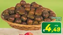 Idromarket Castagne offerta