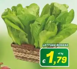 Idromarket Lattuga romana offerta