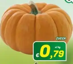 Idromarket Zucca offerta
