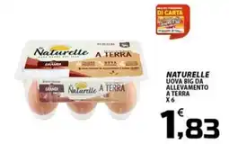 SpesaPiù Supermercati Naturelle uova big da allevamento a terra offerta