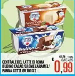 Supermercati EffePiù Budino Cacao/Creme Caramel/Panna Cotta offerta