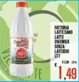 Supermercati EffePiù Latte DigeMilk senza lattosio offerta