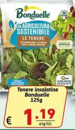 Ipercarni Tenere insalatine Bonduelle offerta