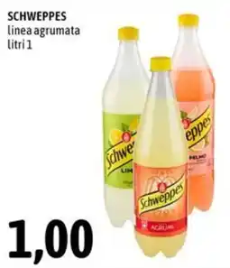 Madis Schweppes linea agrumata offerta