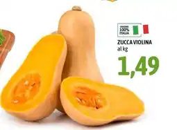 Madis Zucca violina offerta