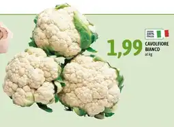 Madis Cavolfiore bianco offerta
