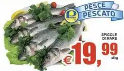 Pewex Spigole di mare offerta