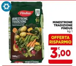 Gran mercato Minestrone tradizione Findus offerta