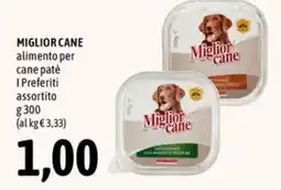 Madis Miglior cane alimento per cane patè offerta