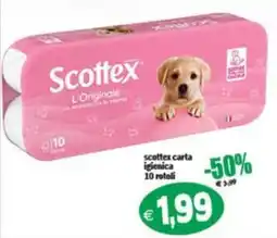 Il Castoro Supermercati Scottex carta igienica offerta