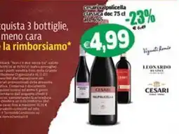 Il Castoro Supermercati Cesari Valpolicella Classica DOC offerta