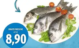 Madis Orate fresche offerta