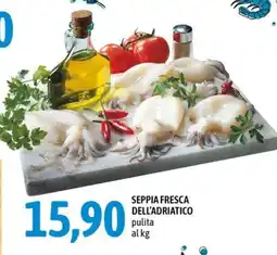 Madis Seppia fresca dell'Adriatico offerta