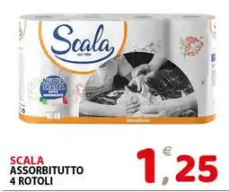 Il Centro Superstore Scala assorbitutto offerta