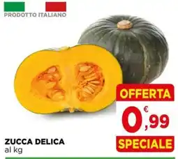 Gran mercato Zucca Delica offerta