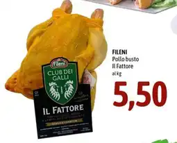 Madis Fileni Pollo busto Il Fattore offerta