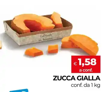 Zucca Gialla