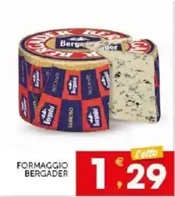Sisa Formaggio Bergader offerta