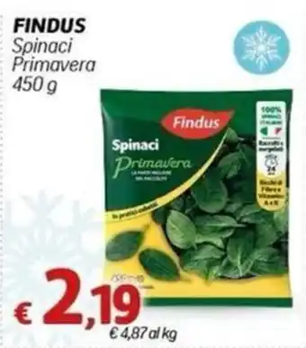 Spinaci Primavera Findus