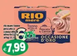 Il Castoro Supermercati Rio mare tonno offerta