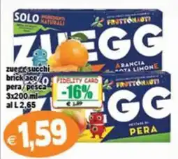 Il Castoro Supermercati Zuegg succhi brick offerta
