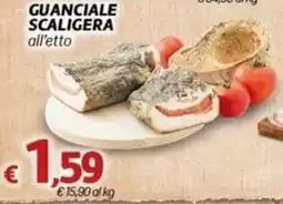 Marotta Guanciale scaligera offerta
