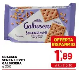 Gran mercato Cracker senza lieviti Galbusera offerta