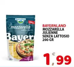 Il Centro Superstore Bayerland mozzarella julienne senza lattosio offerta