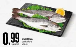 PRO7 Supermercati Ombrina boccadoro offerta