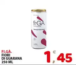 Il Centro Superstore Fi.G.A. Fiori di Guarana offerta
