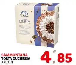 Il Centro Superstore Sammontana torta duchessa offerta