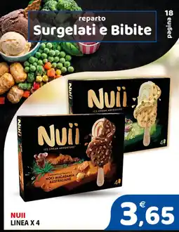 Il Centro Superstore Nuii Ice Cream Adventure offerta