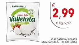 Diper Mozzarella tris galbani vallelata offerta