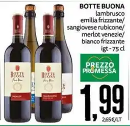 PRO7 Supermercati Botte Buona lambrusco emilia frizzante/sangiovese rubicone/merlot venezie/bianco frizzante offerta