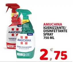 Il Centro Superstore Amuchina igienizzante/disinfettante spray offerta