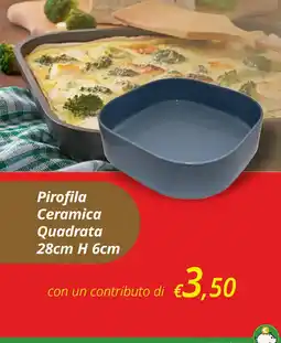 Primo Prezzo Pirofila Ceramica Quadrata offerta