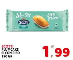 Il Centro Superstore Scotti plumcake si con riso offerta