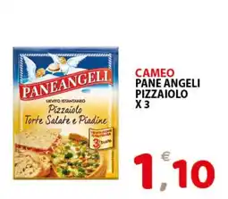 Il Centro Superstore Paneangeli lievito istantaneo pizzaiolo offerta