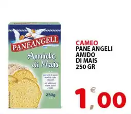 Il Centro Superstore Amido di Mais Paneangeli offerta
