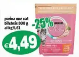 Il Castoro Supermercati purina one cat bifebis offerta