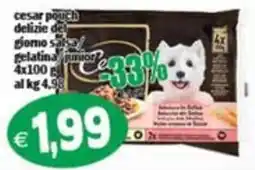 Il Castoro Supermercati Cesar pouch delizie del giorno salsa gelatina junior offerta