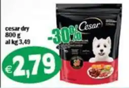 Il Castoro Supermercati Cesar dry offerta