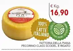 Diper Pecorino classico Fattoria della Piana offerta