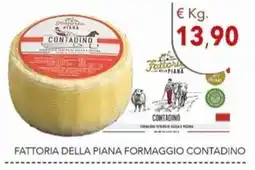 Diper Fattoria della Piana Formaggio Contadino offerta
