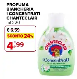 Iperal I Concentrati Chanteclair offerta