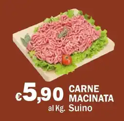 Primo Prezzo Carne macinata Suino offerta