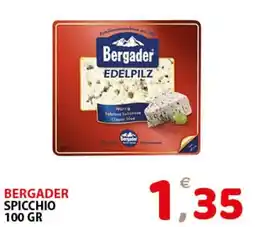 Il Centro Superstore Bergader spicchio offerta