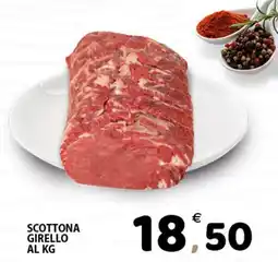 Il Centro Superstore Scottona girello offerta